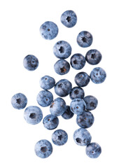 Fresh blueberry isolated on white background. Bilberry or whortleberry berries. Clipping path. Top view.