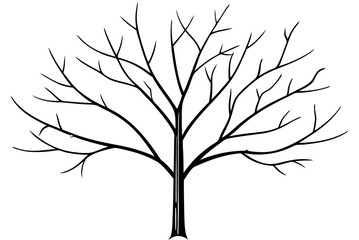 bare tree covered in a light dusting vector 