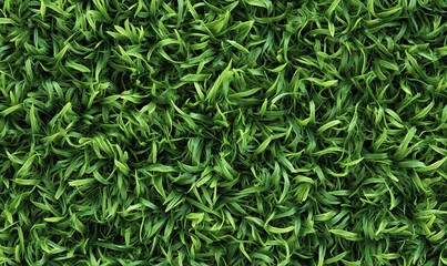 Fototapeta premium Artificial Green grass texture seamless background, top view