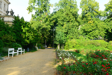 View of park with benches, alley and green trees