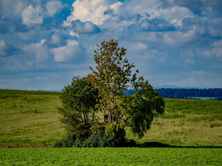 Hochsitz am Waldrand