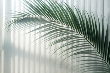 Green palm with reeded glass. Pure aesthetic behind frosted panel for modern beauty illustration. White Reeded Glass. Plant leaves. Summer concept with blurred luxury wall. Ribbed Background.