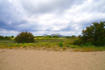 dune landscape in Catalonia with a view to the inland and the mountains near Torroella de Montgrí with the Castell del Montgrí, Catalonia, Girona, Spain