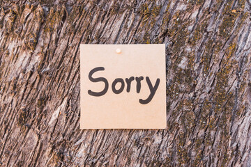 word sorry written and drawn on recycled cardboard with a textured tree bark background.