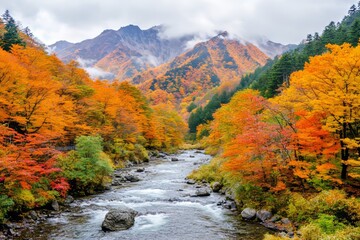During autumn, Japanese trees turn red and yellow