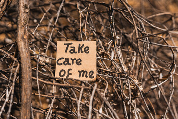 Take care of me written and drawn on recycled cardboard with a textured background made of tree bark