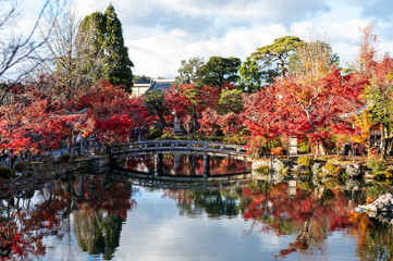 Scenic Bridge and Autumn Foliage Reflected in Garden Pond