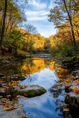 Autumn forest river landscape with fallen leaves and blue sky reflection
