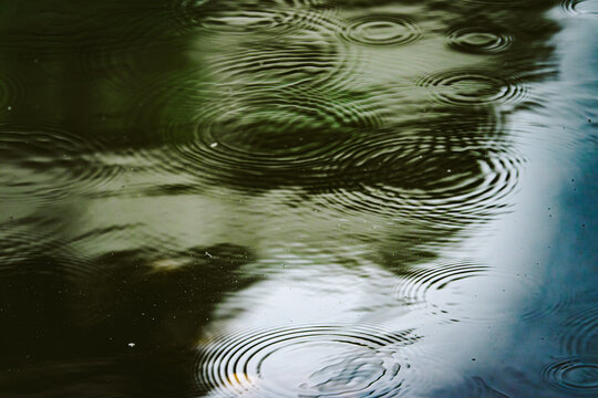 A body of water with raindrops creating ripples on the surface. The ripples are scattered throughout the water, creating a sense of movement and energy