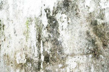 A wall with a lot of dirt and grime on it. The wall is white and the dirt is green