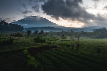 Fototapeta premium A volcano in the clouds with rice fields in the foreground.