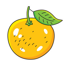 Orange fruit isolated cartoon vector illustration
