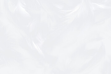 Obraz premium White feathers texture accessories archangel accessory.