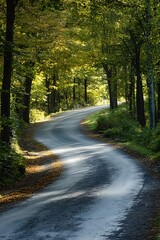 Fototapeta premium Winding Road Through Lush Green Forest in Summer