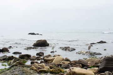 Point Dume, California
