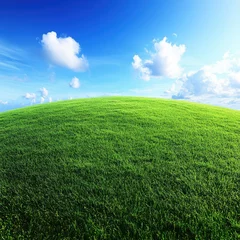 view of green grass and blue sky, nature and environment