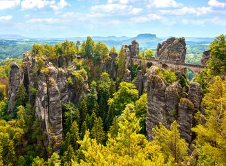 Printed kitchen splashbacks Saxon Switzerland, Bastai Bridge. Mountain view