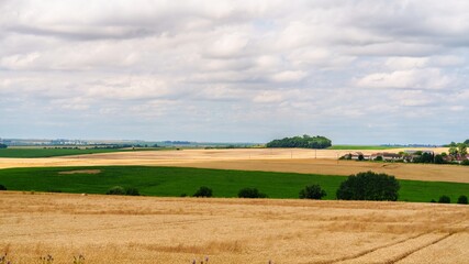 Obraz premium The image depicts a panoramic view of the countryside, featuring golden wheat fields in the foreground, scattered trees, and a distant blue sky with fluffy white clouds, all captured from a high angle