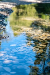 Obraz premium Closeup of a small creek bed with blue water reflecting the sky