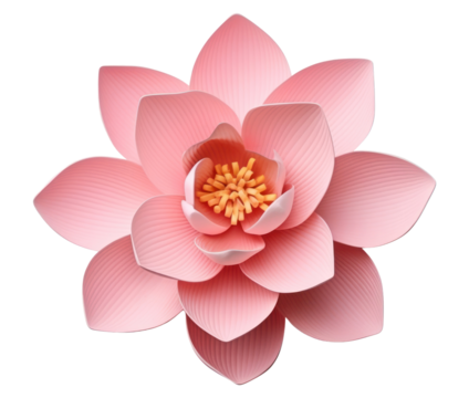 PNG Flower blossom petal plant.