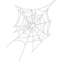 horror spider web illustration