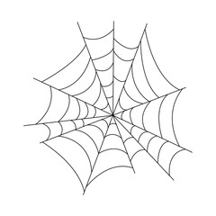 spider web vector illustration