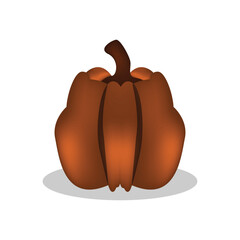 Pumpkin fruit realistic illustration object
