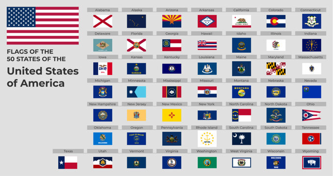 All 50 U.S. State Flags Vector Format
