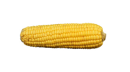 corn isolated