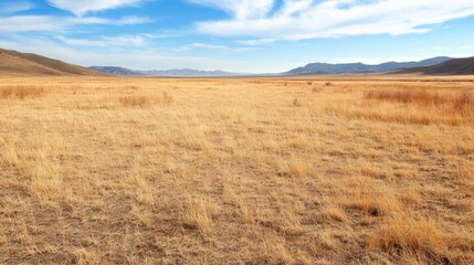 Fototapeta premium Expansive Desert Grassland with Distant Mountains under Vibrant Blue Sky