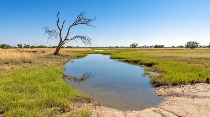 Tranquil Scenic Landscape with Dry Tree Reflection in Serene Pond