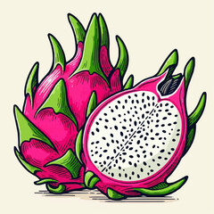 illustration of a dragon fruit