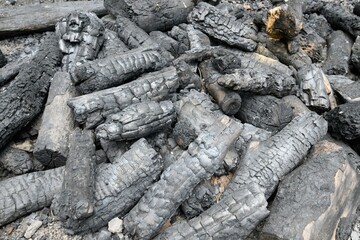 Burnt out logs in a heap used as firewood to reduce cane sugar