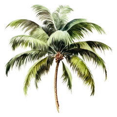 PNG Plant fruit tree freshness.