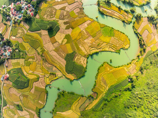 Fototapeta premium Aerial wide angle view of landscape with rice field at Phong Nam village in Trung Khanh, Cao Bang province,Northern Vietnam