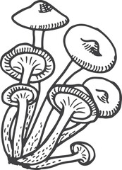 Honey fungus sketch. Natural forest mushroom icon