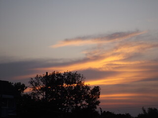 Light and shadow art: beautiful natural colors in the evening the beauty of the sky Animals and grass amidst beautiful colors in the evening.