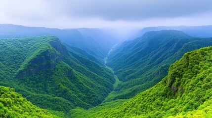 Naklejka premium Majestic Mountain Valley Landscape with Lush Green Foliage and Foggy Sky
