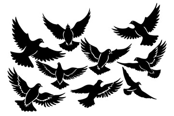 Flying bird vector art illustration