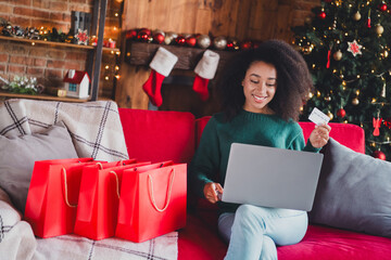 Portrait of nice young girl laptop credit card shop bags wear sweater new year xmas holiday flat...