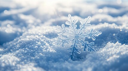 A Single Snowflake Resting on Freshly Fallen Snow