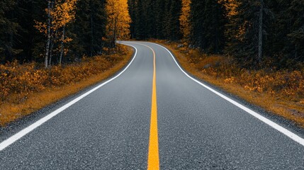 Winding Asphalt Road Through Autumn Forest   Fall Foliage  Countryside Drive  Nature Lands