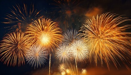 Naklejka premium Fireworks light up the night sky