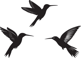 Silhouette of a hummingbird hovering in mid-air, collection of silhouettes of birds © Nazia