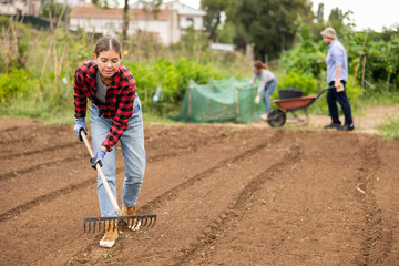Female owner of plantation works on beds with hand tools, levels and loosens ground using rake. She...