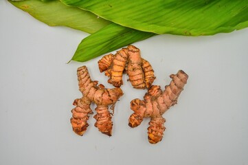 Fresh and herbal turmeric for spice and medicine