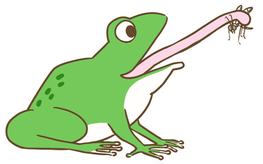 舌で昆虫を捕獲して食べる蛙のベクターイラスト