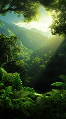Fototapeta premium Lush green forest with sunlight filtering through trees, creating a serene and tranquil atmosphere.