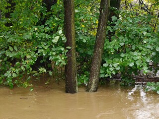 Increased river level during floods.
