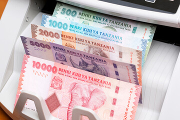 Tanzanian shilling in the counting machine